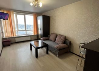 Продается 1-комнатная квартира, 28 м2, Ставрополь, улица Доваторцев, 77к3, микрорайон № 33