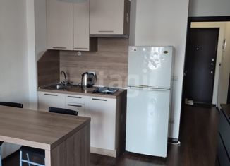 Продам квартиру студию, 24 м2, Санкт-Петербург, проспект Ветеранов, 171к4