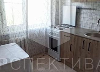 Продается двухкомнатная квартира, 47 м2, посёлок Берёзовый, улица Археолога Анфимова, 26