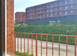 Продам квартиру студию, 27 м2, рабочий поселок Маркова, микрорайон Берёзовый, 221