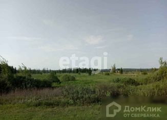 Продаю участок, 422.4 сот., село Спасское, Центральная улица, 44