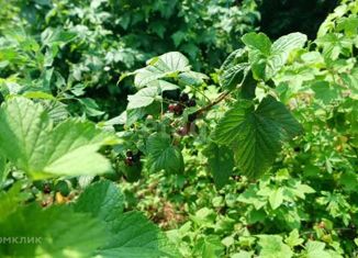 Дом на продажу, 100 м2, село Марково