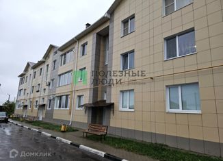 Продаю 1-комнатную квартиру, 45 м2, поселок городского типа Северный, улица Некрасова, 13поз6