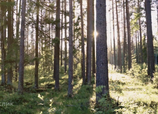 Продаю участок, 47.7 сот., Первомайское сельское поселение