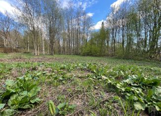 Участок на продажу, 8 сот., посёлок Парголово, Лесной переулок