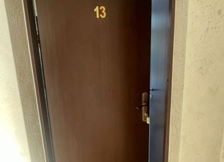 1-комнатная квартира на продажу, 18.4 м2, Сочи, Спортивная улица, 19, Лазаревское