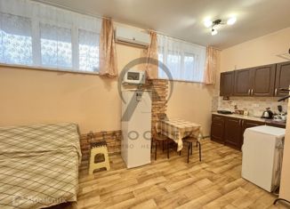 Продается 1-комнатная квартира, 27 м2, Ольгинка, квартал жилой застройки Заречный, 1В