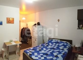 Квартира на продажу студия, 20.1 м2, Нижний Тагил, улица Коминтерна, 69