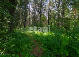 Участок на продажу, 12 сот., поселок Трубачево, Зелёная улица, 17