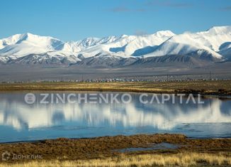 Продажа участка, 14.33 сот., село Кош-Агач, площадь Ленина