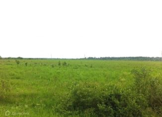 Продажа земельного участка, 11.99 сот., село Старые Камышлы, Центральная улица