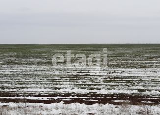 Продажа земельного участка, 1000 сот., село Виноградово