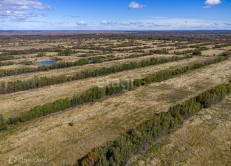 Продается участок, 260 сот., Тополевское сельское поселение