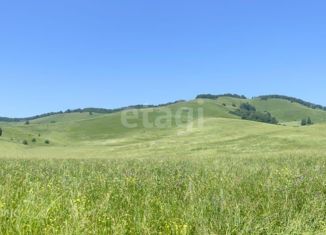 Продаю земельный участок, 2170 сот., село Нижнекаянча, Центральная улица, 54