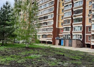 Продажа однокомнатной квартиры, 37.5 м2, Нижегородская область, проспект Ильича, 39к1