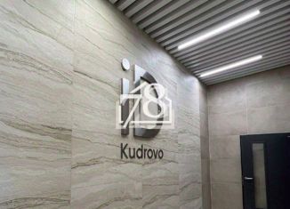 Продаю двухкомнатную квартиру, 53.5 м2, Кудрово, проспект Строителей, 1к1