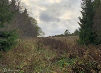 Продажа участка, 270 сот., станция Яккима