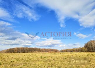 Продаю земельный участок, 1130 сот., посёлок Петелино