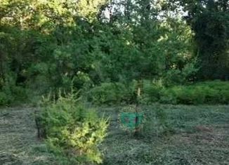 Земельный участок на продажу, 4 сот., СНТ Парус, 3 квартал, 244