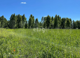 Продается земельный участок, 7.1 сот., садовое товарищество Генетик