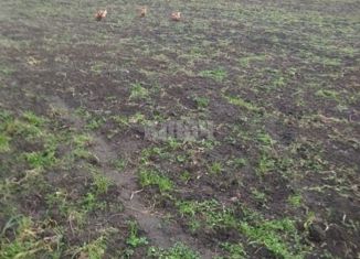 Продам участок, 12 сот., село Устье