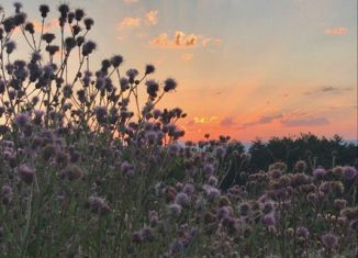 Продажа земельного участка, 6 сот., поселок Красный Сад, Малахитовая улица