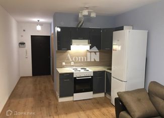 Продажа квартиры студии, 24.2 м2, Санкт-Петербург, Славянская улица, 28, Славянская улица