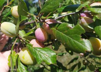 Дом на продажу, 70 м2, посёлок Шелангер, Школьная улица