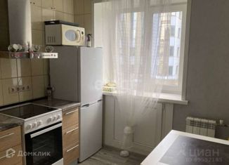 Сдается в аренду двухкомнатная квартира, 46 м2, Новосибирск, Советская улица, 40, Центральный район