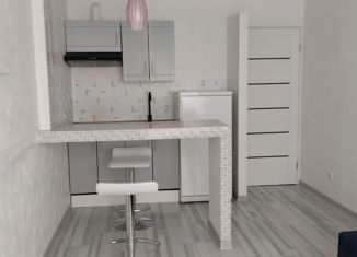 Сдаю квартиру студию, 25 м2, Мурино, улица Шоссе в Лаврики, 63, ЖК Муринское-1