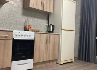 Сдается 1-ком. квартира, 35 м2, деревня Царёво, улица Петра Гаврилова, 26