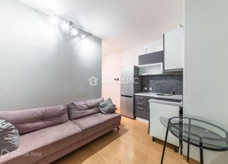 Продается квартира студия, 24.8 м2, Санкт-Петербург, 5-й Предпортовый проезд, 2, 5-й Предпортовый проезд