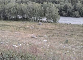 Продам участок, 1200 сот., село Инегень