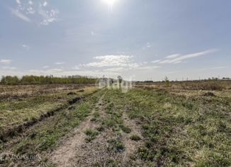 Продам участок, 16.3 сот., село Борки