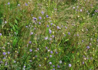 Продажа участка, 108.2 сот., село Каскара, Тобольский тракт, 27-й километр