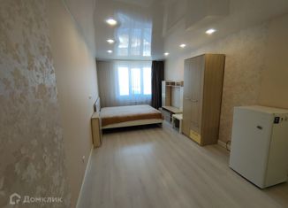Квартира на продажу студия, 28 м2, Новосибирск, Покатная улица, 130/1, Покатная улица