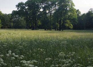 Продам участок, 9.23 сот., деревня Виркино, 41К-222