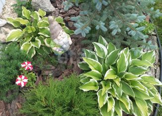 Продам дом, 70 м2, деревня Сидорово, Центральная улица