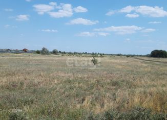 Земельный участок на продажу, 1100 сот., хутор Зубаревка