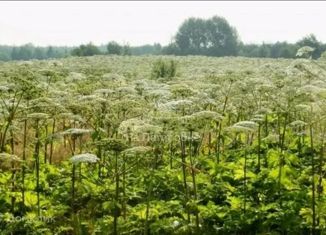 Участок на продажу, 230 сот., село Недельное