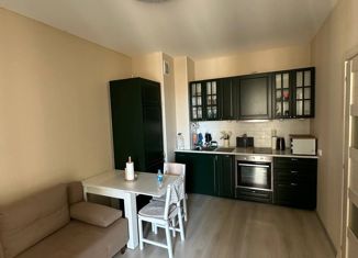 Сдаю 1-ком. квартиру, 31.5 м2, Санкт-Петербург, Верхне-Каменская улица, 5