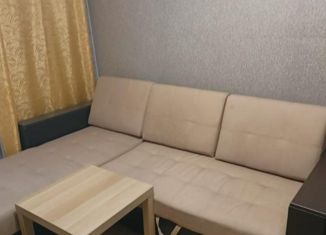 Сдача в аренду квартиры студии, 24 м2, Новосибирск, улица Героев Революции, 21, улица Героев Революции