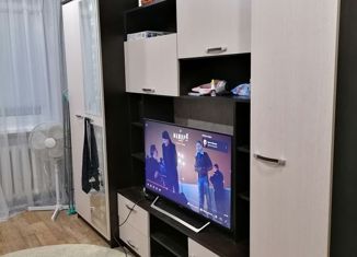 Продажа 2-ком. квартиры, 39 м2, Нижний Новгород, улица Ефремова, 7, улица Ефремова