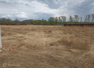 Продам земельный участок, 10 сот., деревня Шапкино