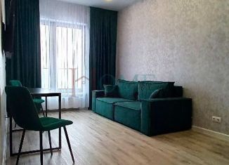 Сдача в аренду двухкомнатной квартиры, 45.8 м2, Новосибирск, Красный проспект, 220