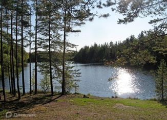 Продам участок, 10 сот., поселок Борки