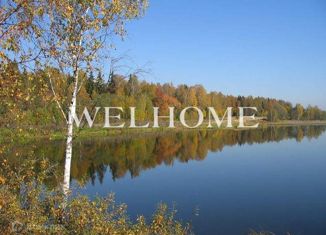 Продаю участок, 215 сот., деревня Лопотово, деревня Лопотово, 22