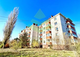 Продается однокомнатная квартира, 29 м2, Семилуки, Курская улица, 4А