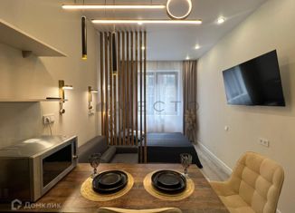 Сдам квартиру студию, 22 м2, Москва, Ленинградский проспект, 35с2, район Беговой