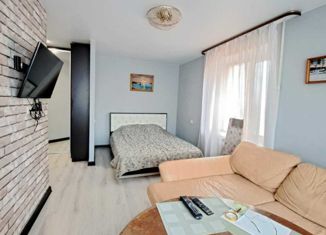 1-комнатная квартира в аренду, 32 м2, Свердловская область, проспект Мира, 16